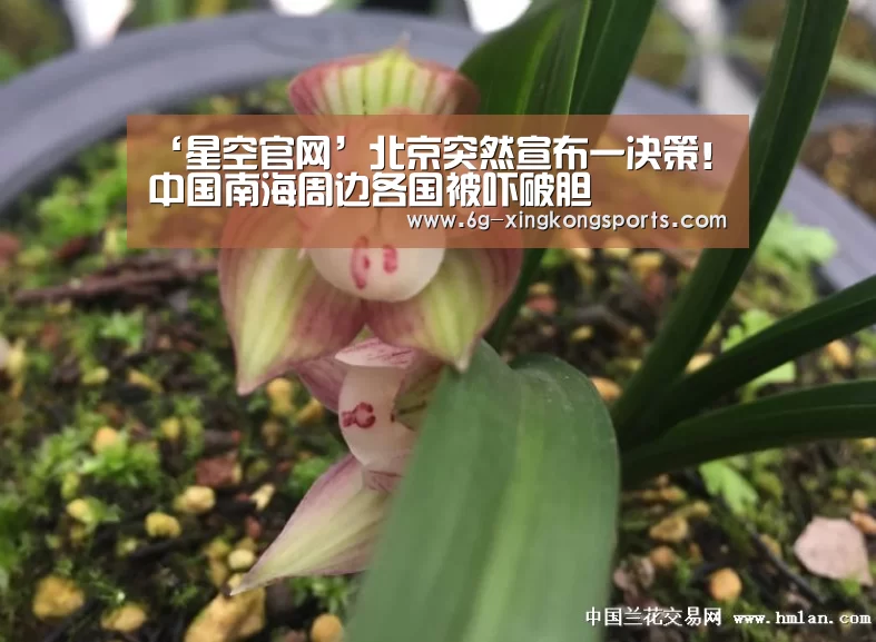 ‘星空官网’北京突然宣布一决策!中国南海周边各国被吓破胆(图1) 星空官网